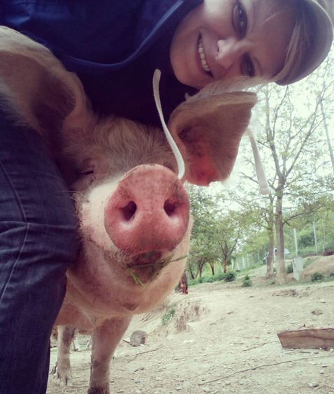 Visiting Masho, named Sausage (because he will never become one) - a piglet rescued from the flood, living at a great sanctuary 