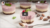 sunflower seed blueberry mini cheezecakes \/\/ vegan, gf