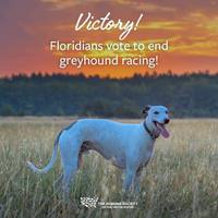 Florida Vegan Victory
